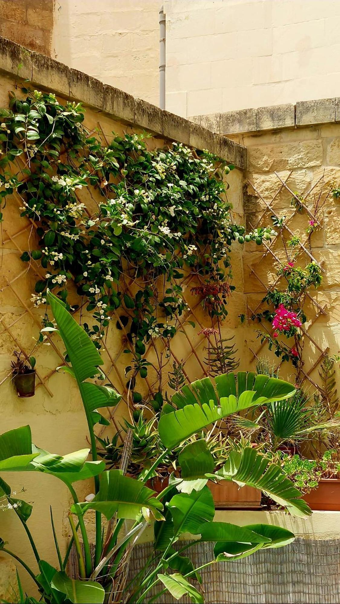 Ta' Didi B&B Kercem ภายนอก รูปภาพ